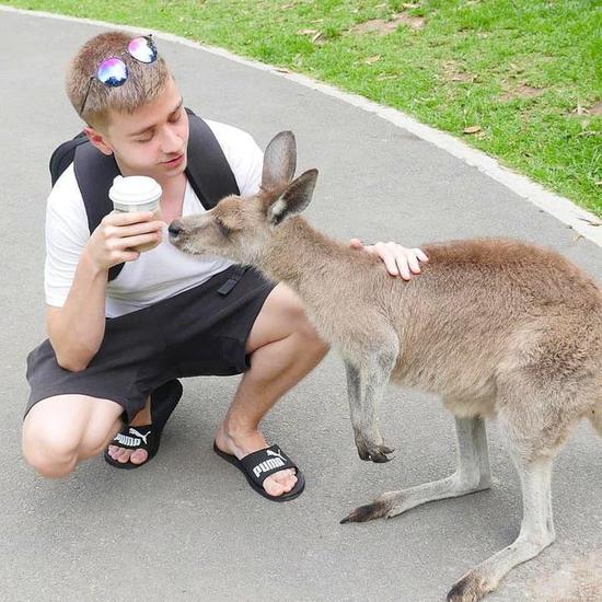 美陆战队火炮演练意外事件导致加州警车受损